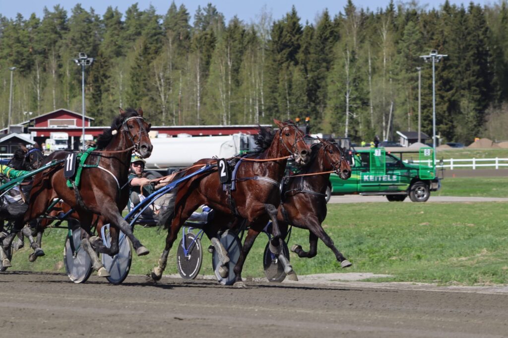 Return of Wurst (11) voittaa Black Horse Cup-finaalin 2024
